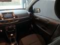 Kia Picanto 1.0 12V 5 porte Urban Beige - thumbnail 12