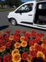 Toyota Proace City Verso L2 1,5 D-4D 102 Combi - thumbnail 13