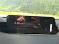 Mazda 3 G140 AUT HOMURA Rot - thumbnail 13