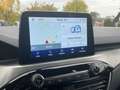 Ford Kuga Plug-In Hybrid Titanium Blau - thumbnail 10