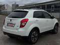 SsangYong Korando 2.0 Weiß - thumbnail 5