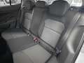 Skoda Fabia 1.0 TSI Selection DSG 85kW Blanc - thumbnail 17