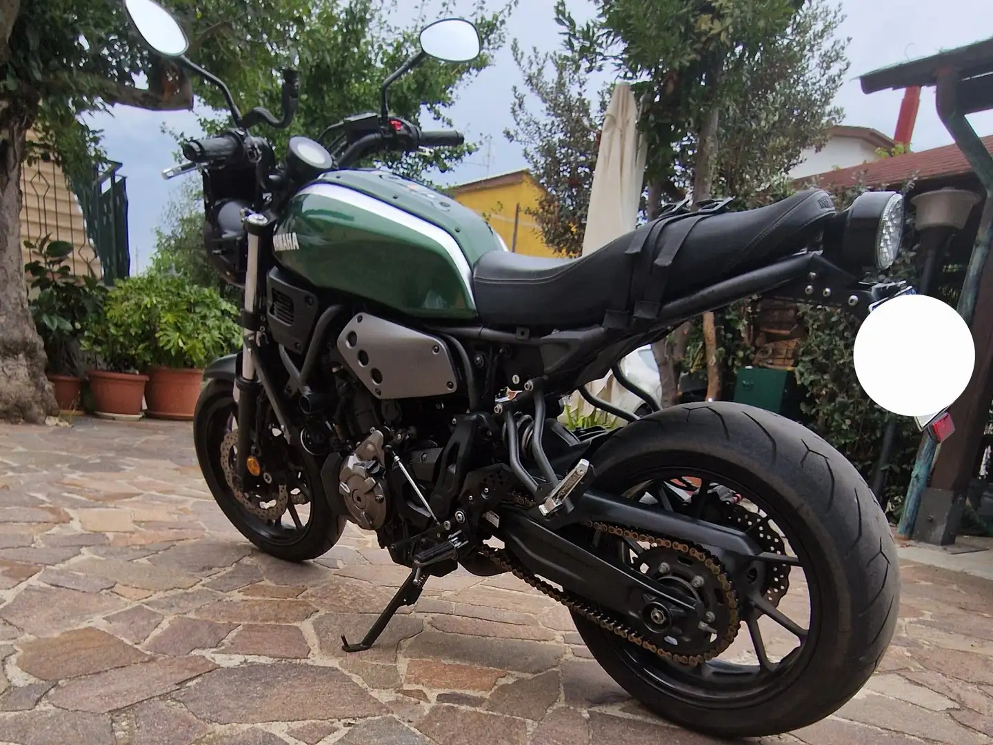 Yamaha XSR 700 ABS Green - 2