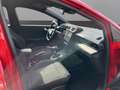 Ford Puma 1,0 EcoBoost Hybrid ST-Line Rot - thumbnail 5