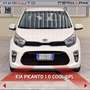Kia Picanto Picanto 1.0 12V EcoGPL 5 porte Cool Bílá - thumbnail 2