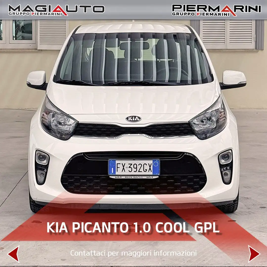 Kia Picanto Picanto 1.0 12V EcoGPL 5 porte Cool Bílá - 2