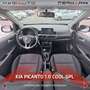 Kia Picanto Picanto 1.0 12V EcoGPL 5 porte Cool Bílá - thumbnail 8