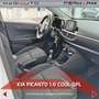 Kia Picanto Picanto 1.0 12V EcoGPL 5 porte Cool Bílá - thumbnail 9