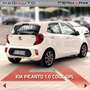 Kia Picanto Picanto 1.0 12V EcoGPL 5 porte Cool Bílá - thumbnail 15