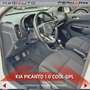 Kia Picanto Picanto 1.0 12V EcoGPL 5 porte Cool Bílá - thumbnail 6