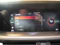 Alfa Romeo Stelvio 2.0 Turbo 280 CV AT8 Q4 Veloce Bleu - thumbnail 19