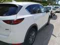 Mazda CX-5 2.2 Evolve 2wd 150cv auto Bianco - thumbnail 7