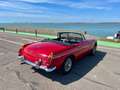 MG MGB Rot - thumbnail 21
