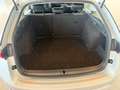 Skoda Octavia Combi TSI Active Silber - thumbnail 12