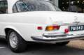 Mercedes-Benz 280 SE W111 (280SE) Wit - thumbnail 19