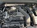Volkswagen Golf VIII 1.5 eTSI 85 kW 7-Gang DSG Goal Bluetooth Grau - thumbnail 19