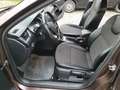 Skoda Octavia Elegance 4x4 Braun - thumbnail 7