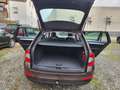 Skoda Octavia Elegance 4x4 Brun - thumbnail 9