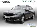 Skoda Kamiq Drive 1.0TSI 70KW MATRIX RKAM PDC VZE VC LM Gri - thumbnail 2