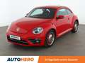 Volkswagen Beetle 1.4 TSI Design BM*TEMPO*PDC*SHZ*KLIMA*GARANTIE* Červená - thumbnail 1
