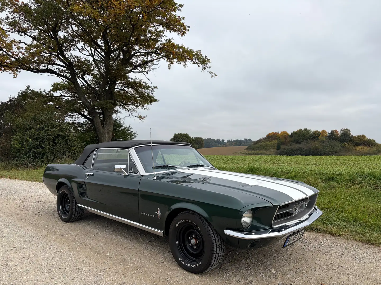 Ford Mustang Cabrio, 351cui V8, Scheibenbremse, Servo, TÜV&H Grün - 2