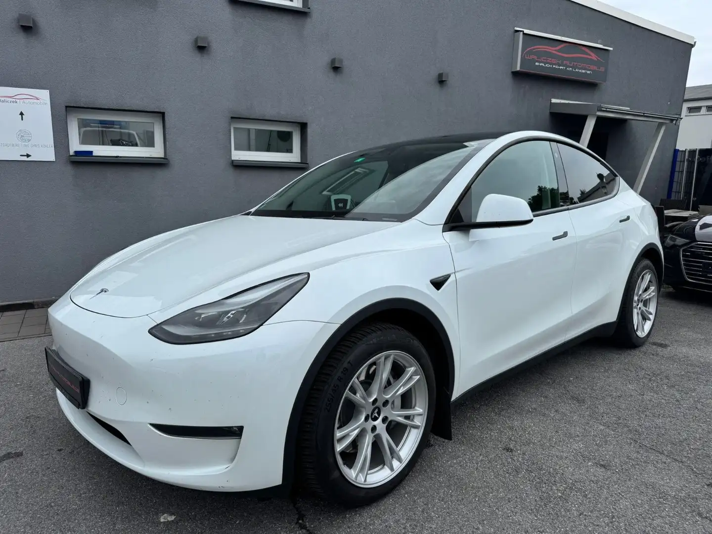 Tesla Model Y Long Range Dual AWD AHK MwSt Bianco - 1