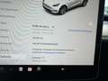 Tesla Model Y Long Range Dual AWD AHK MwSt Bianco - thumbnail 9