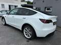 Tesla Model Y Long Range Dual AWD AHK MwSt Bianco - thumbnail 2