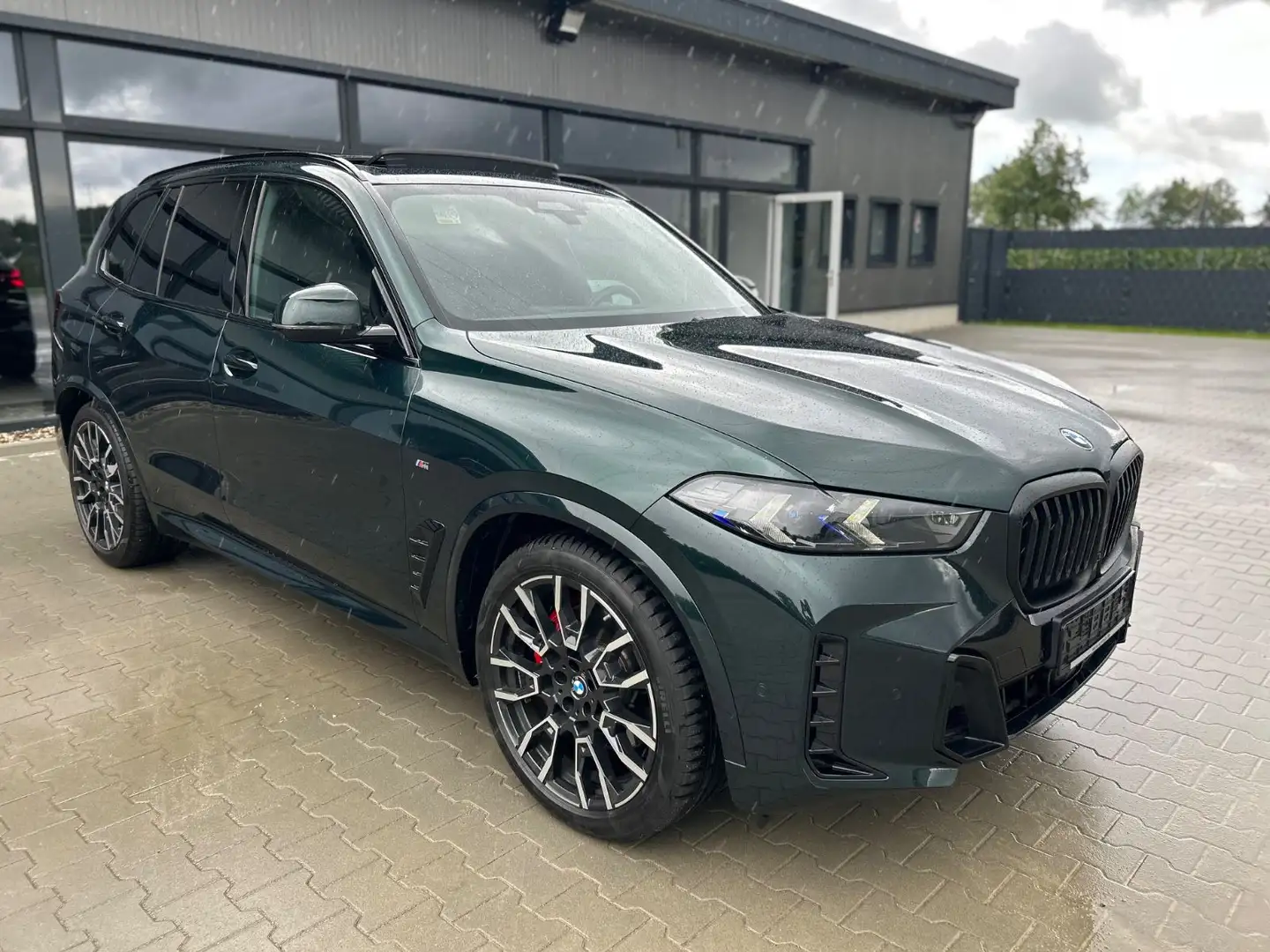 BMW X5 30d M Sport Pro -2Achs-SkyLoung-BelüSitz-360K Grün - 1