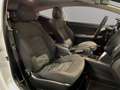 Kia 1.4 CVVT 100cv Concept Wit - thumbnail 25