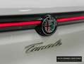 Alfa Romeo Tonale 1.6 DS Sprint FWD Blanco - thumbnail 23