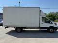Ford Transit 350 2.0TDCi EcoBlue PL-SL Cab.Entry Blanco - thumbnail 4