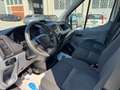 Ford Transit 350 2.0TDCi EcoBlue PL-SL Cab.Entry Blanco - thumbnail 8