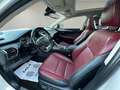 Lexus NX 300h 2.5 Luxury 4WD Blanc - thumbnail 9