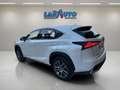 Lexus NX 300h 2.5 Luxury 4WD Blanc - thumbnail 8