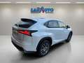 Lexus NX 300h 2.5 Luxury 4WD Blanc - thumbnail 6