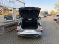 Ford Puma 1.0 EcoBoost Hybrid ST-LinePanoramadak Gris - thumbnail 7
