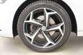 Volkswagen Polo 1.0 TSI 116PS DSG Highline Sport SHZ LED Weiß - thumbnail 28