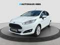 Ford Fiesta Titanium 5-trg *KLIMAA*SITZHZ*PDC*8-FACH* Weiß - thumbnail 1