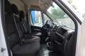 Opel Movano C 1. Hand / Klima / Tempomat / Kamera Weiß - thumbnail 11