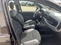 Fiat Panda Cross MY22 City Plus Hybrid 1.0 GS Zwart - thumbnail 7