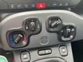Fiat Panda Cross MY22 City Plus Hybrid 1.0 GS Zwart - thumbnail 13