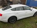 Audi A5 A5 Sportback g-tron Sportback 40 g-tron S  line Weiß - thumbnail 7
