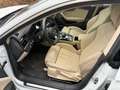 Audi A5 A5 Sportback g-tron Sportback 40 g-tron S  line Weiß - thumbnail 8