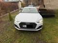 Audi A5 A5 Sportback g-tron Sportback 40 g-tron S  line Weiß - thumbnail 1