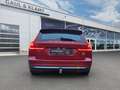 Volvo V60 Ultimate Bright Rot - thumbnail 4