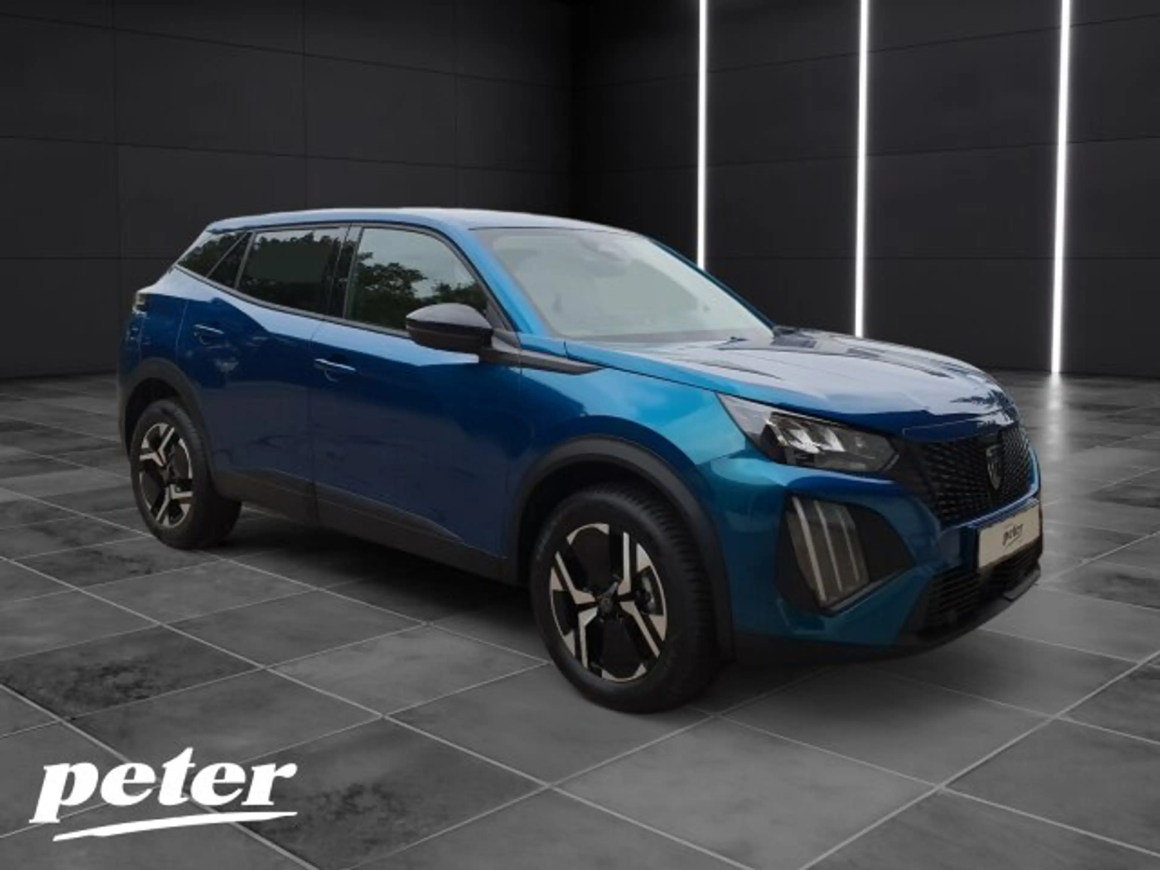 Peugeot 2008 2008 Business 110 +180°Kamera+Allwetter+NAV+ — photo 5
