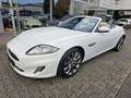 Jaguar XK 5.0 V8 Portfolio Cabriolet*R Optik*SHZ*LKH Weiß - thumbnail 1