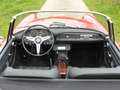 Alfa Romeo Spider 2600 - seltenes Cabriolet Roşu - thumbnail 10