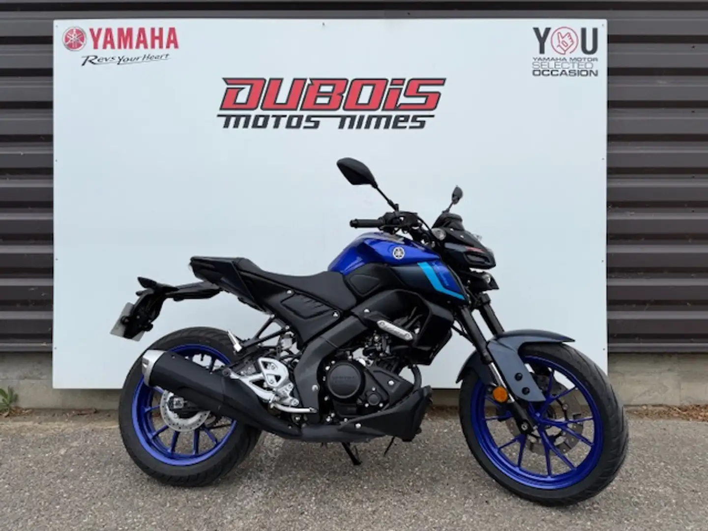 Yamaha MT-125 Azul - 1